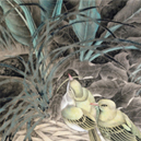 吳東奮在線(xiàn)商城